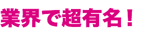 業界で超有名！